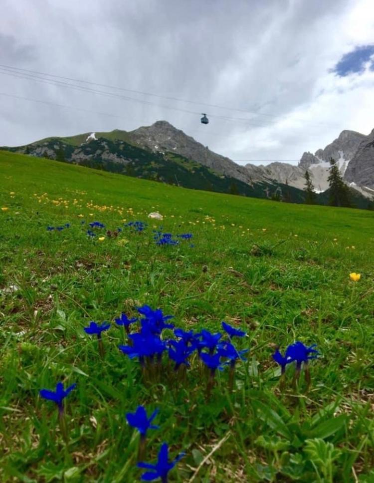 Relax Seefeld Apartman เซเฟลด์ อิน ทิโรล ภายนอก รูปภาพ